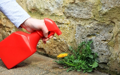 Don’t Settle for Supermarket Weed Killers