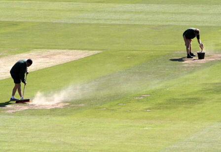 grounds maintenance