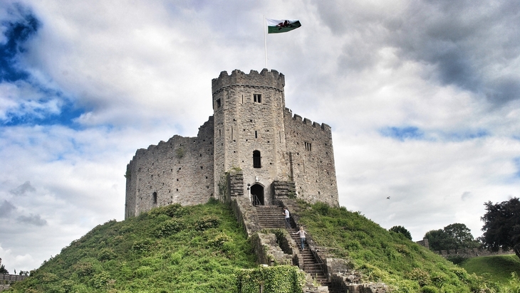 Cardiff Castle - japanese knotweed in cardiff