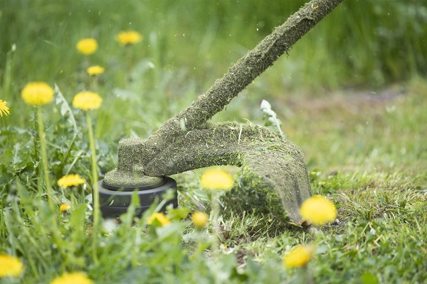 do weeds kill grass