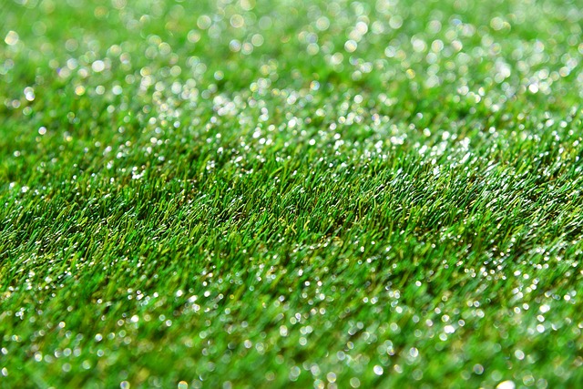 Artificial Grass