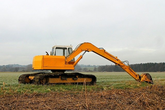 japanese knotweed soil management