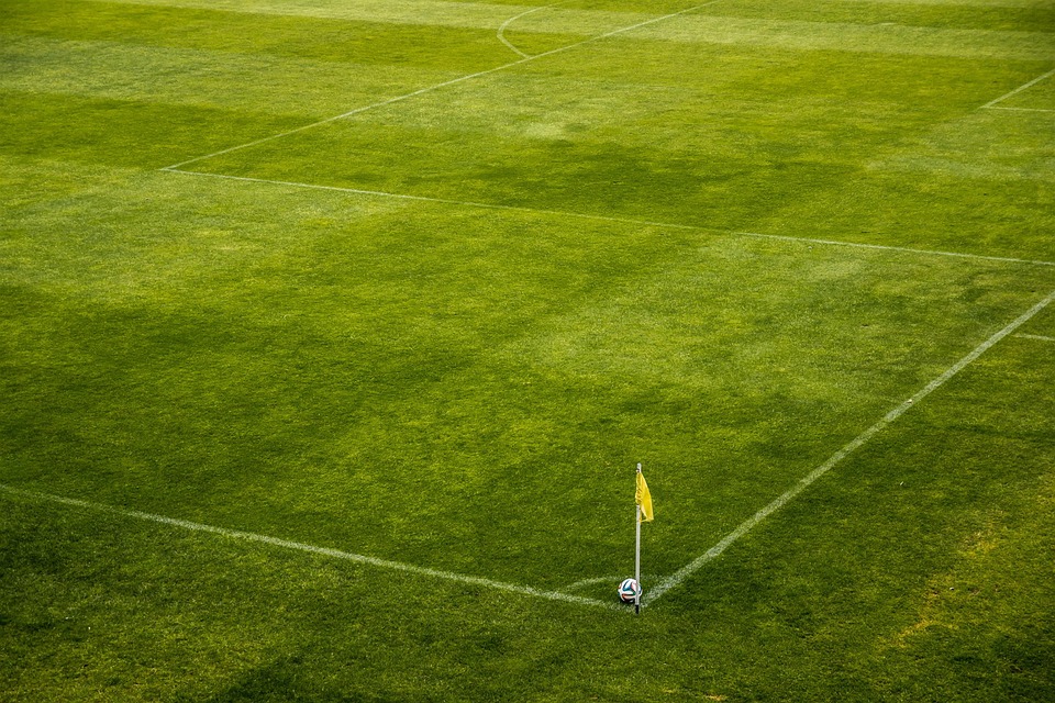 grounds maintenance swansea