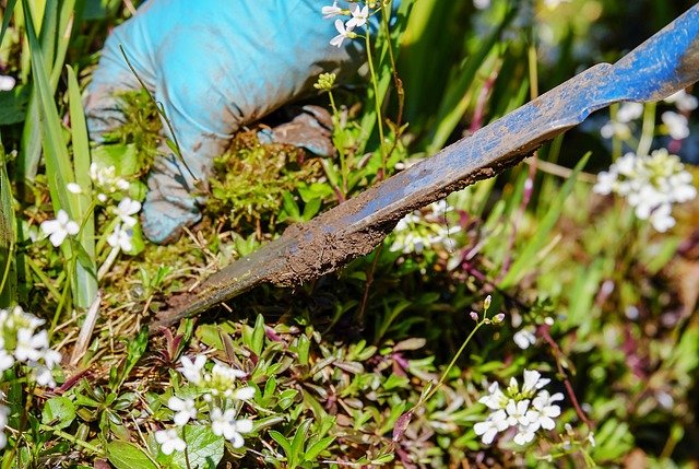 how to prevent weeds from growing