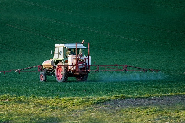 japanese knotweed and glyphosate