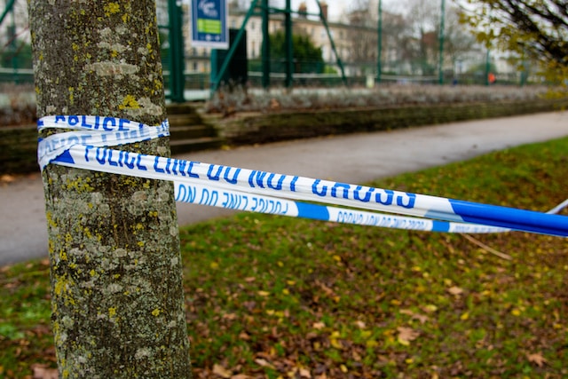 japanese knotweed crime scene