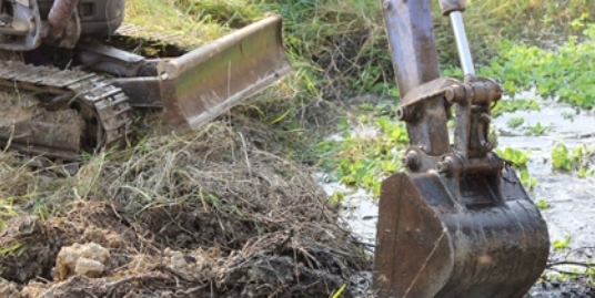 japanese knotweed excavation