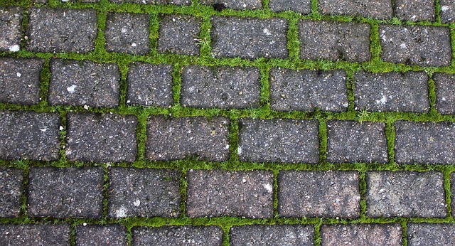 Moss on driveway, how to remove moss from drivey tarmac and patio pavers
