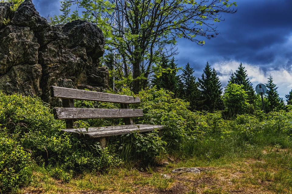 vegetation management