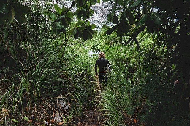 Overgrown garden