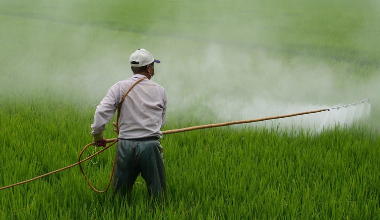 Gardener spraying field with herbicide