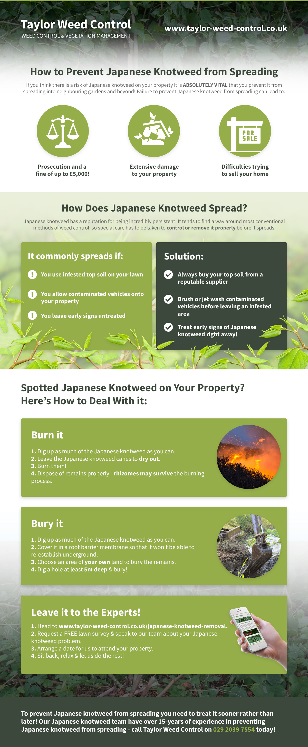 How to Prevent Japanese Knotweed from Spreading